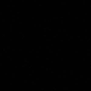 Meet your Posher, Mia